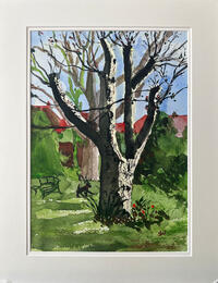 Pollarded walnut tree - 2021, watercolour, 350 x 450 mm, 400 GBP